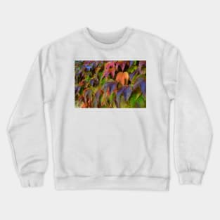 Ivy on the Fence of Merton College, Oxford, UK Crewneck Sweatshirt